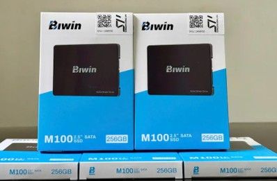 BIW-M100 SSD 2.5 SATA 256.GB (3Y) Biwin  