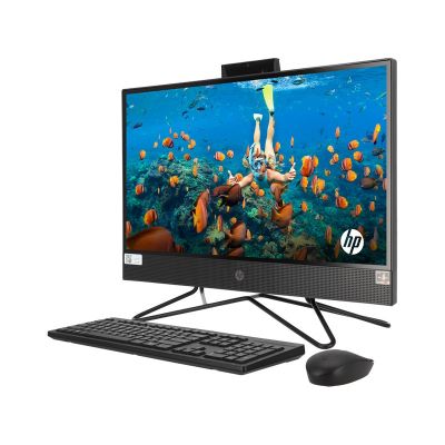 (AIO) HP Pro 205 G4 (69G42PA#AKL)