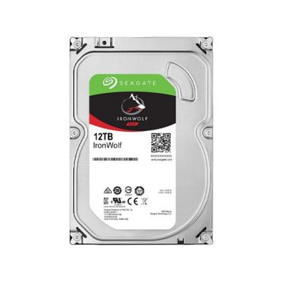 12 TB HDD Seagate IRONWOLF (7200RPM, 256MB,) 