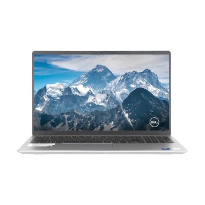 Notebook DELL DC15250I5161 (Platinum Silver)  