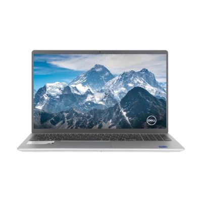 Notebook DELL DC15250I5081 (Platinum Silver)