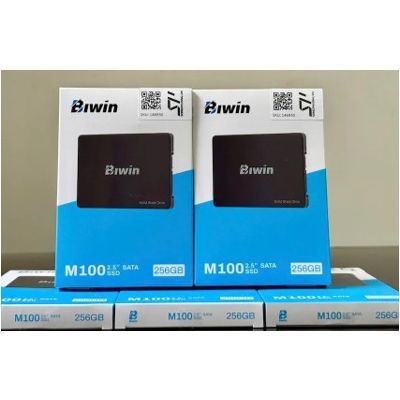 BIW-M100 SSD 2.5 SATA 256.GB (3Y) Biwin  